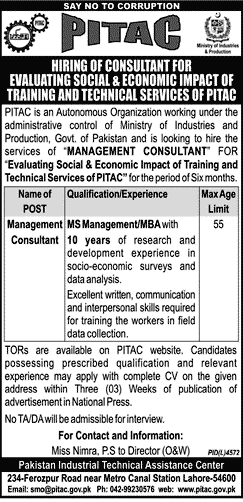 Management Consultant